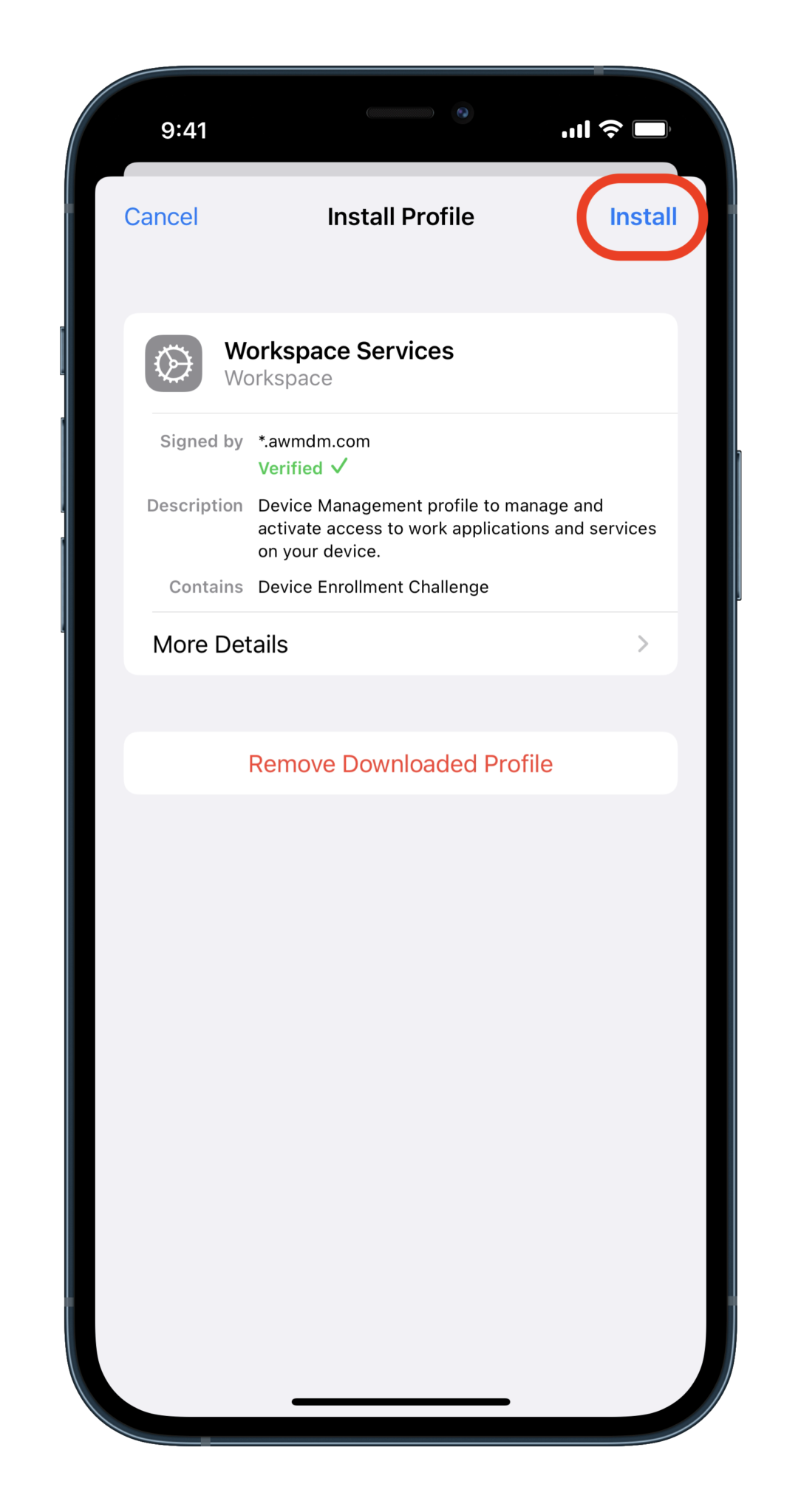 Global Install ? CloudVeil